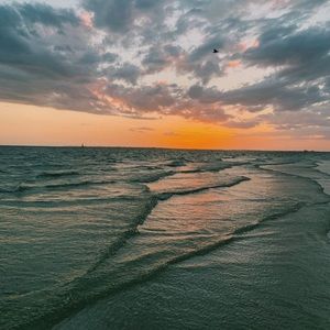 Meet your Posher, Delia